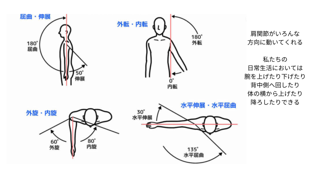 肩関関節の動き一覧