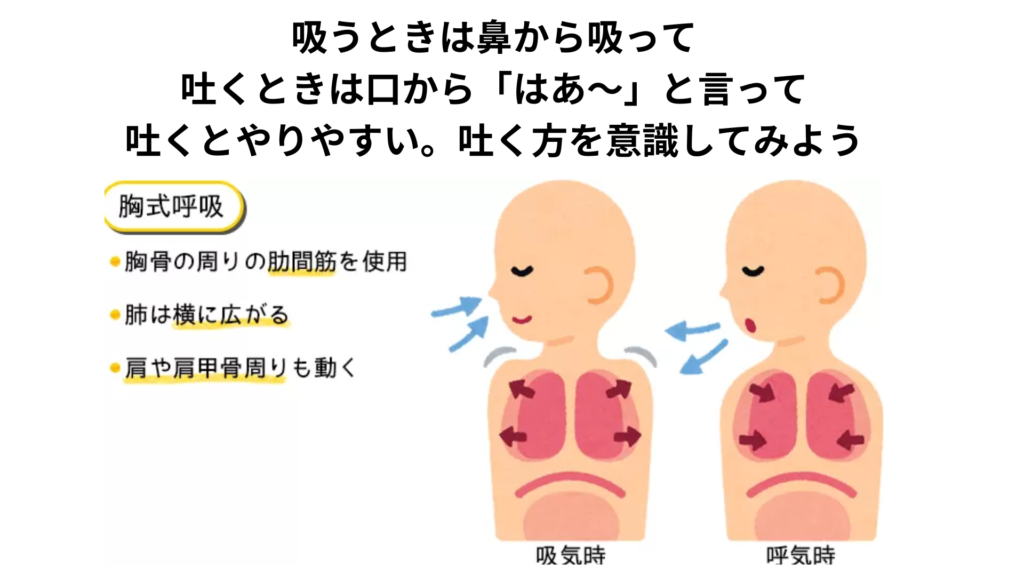 胸式呼吸とは？（寝屋川の女性専用パーソナルピラティスの教室：パーソナルピラティス＆ヨガsmile）